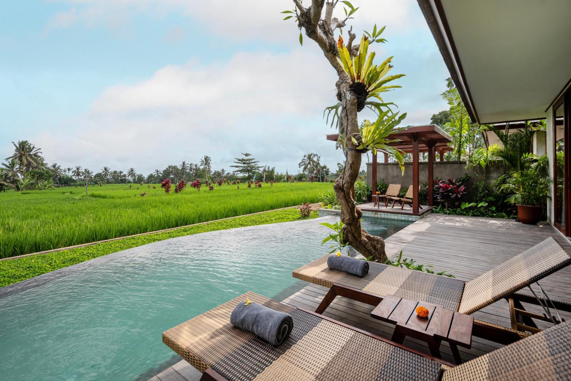 Alas Harum Villas By Inara Payangan Kültér fotó